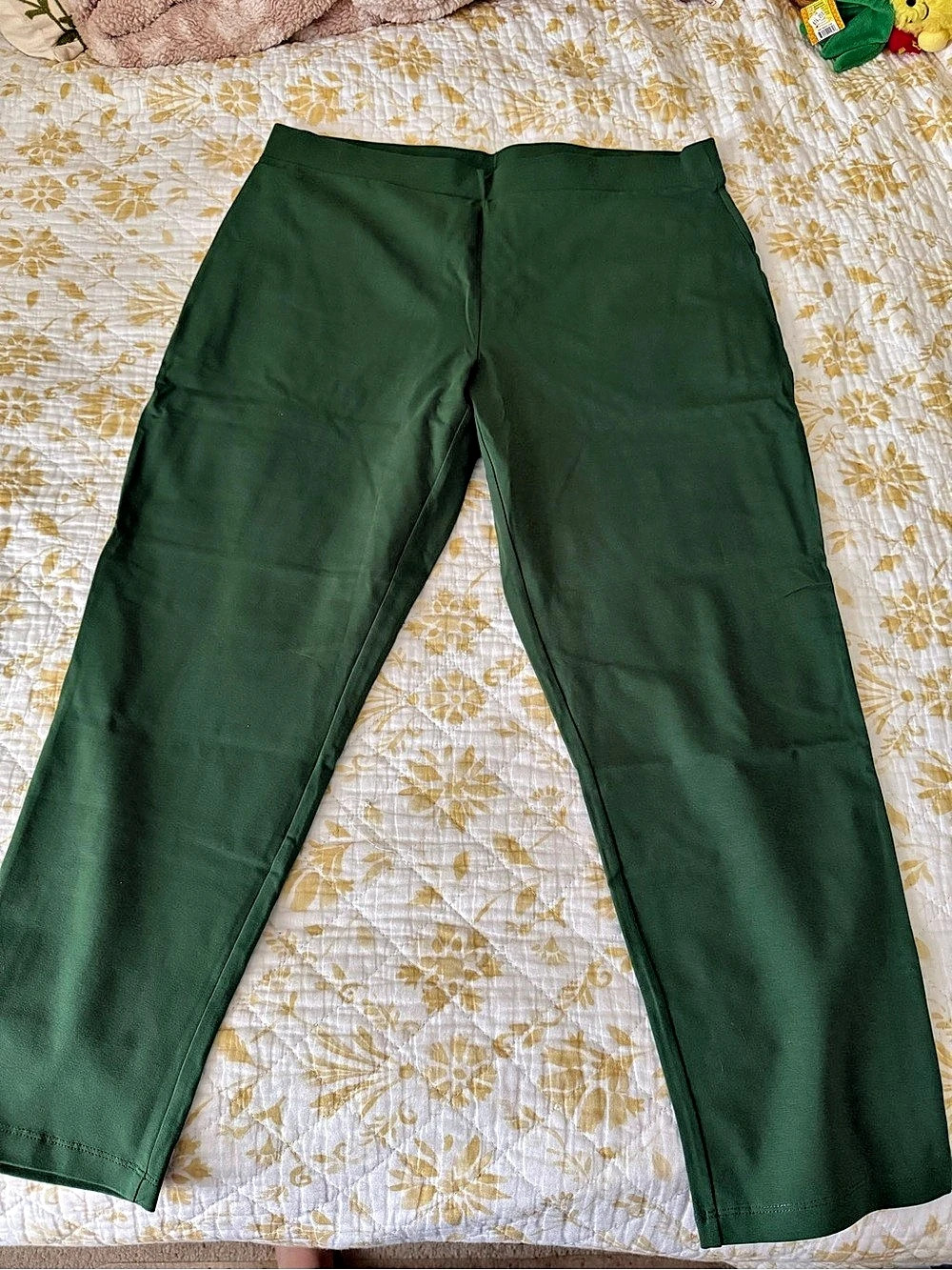 Susan Graver Weekend Pull-On Pants Green Straight Leg Pants
